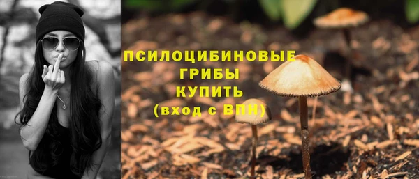 apvp Вязники
