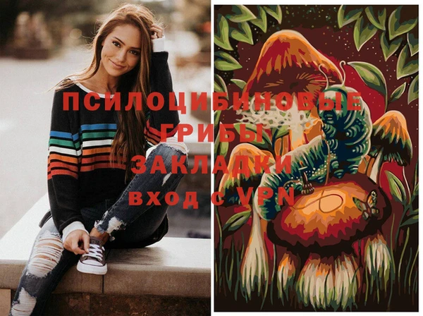 apvp Вязники