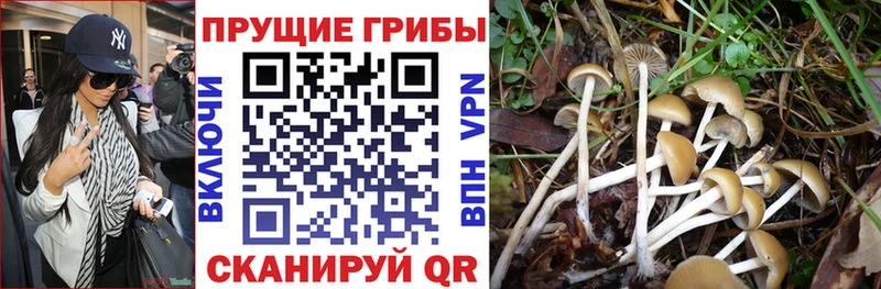 Галлюциногенные грибы ЛСД  Купить где  Волхов 