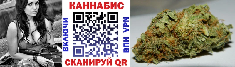 Купить  Волхов  Конопля семена 